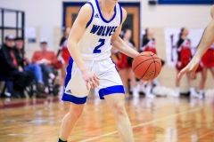 20200305-Tolson-Dribble