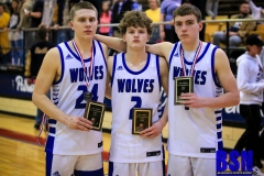 20200310-Wolfe-All-Tourney