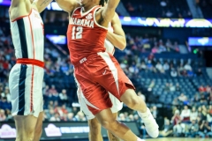 20190314-Ingram in Lane
