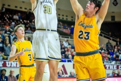 20200123-Hall-Jumper-on-Block