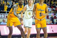 20200123-Napier-FT-REbound