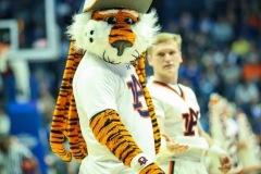 20190314-Auburn Tiger Side
