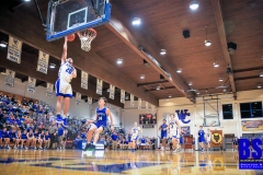 20200124-Brewer-at-Rim-2