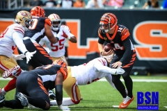 20190915-Dalton-Sacked