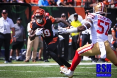 20190915-Tate-in-Red-Zone