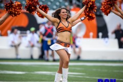 20190822-Bengal-1