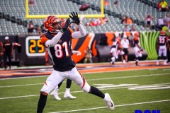 20190822-Bengals-81-Catch