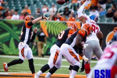 20190822-Lawrence-Bat-Dalton-Pass
