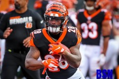 20190822-Mixon-Close-with-Ball