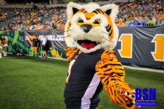 20190822-Who-Dey