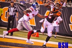 20190822-Willis-TD-Catch-1