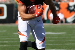 Jags-27248