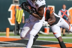 Jags-27438