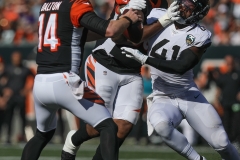Jags-27543