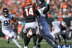 Jags-27545