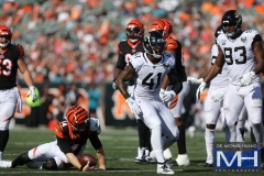 Jags-27562