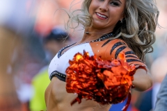 Jags-27591