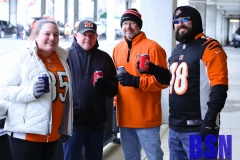 Bengals0001