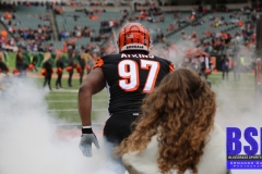 Bengals0008