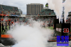 Bengals0009