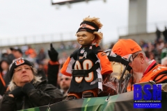 Bengals0012