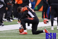 Bengals0014