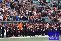 Bengals0016