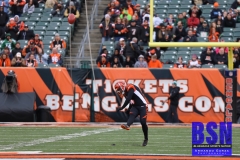 Bengals0017