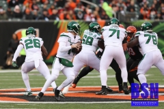 Bengals0019