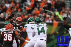 Bengals0020