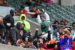 Bengals0021