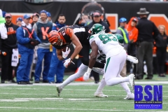 Bengals0025