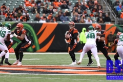 Bengals0028