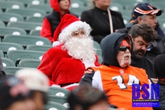 Bengals0031