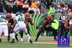 Bengals0033