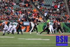 Bengals0034