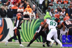 Bengals0035
