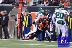 Bengals0037