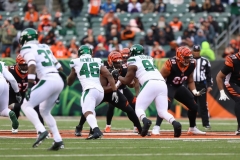 Bengals0039