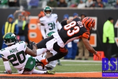 Bengals0040