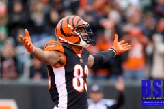 Bengals0042
