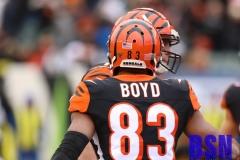 Bengals0043