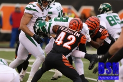 Bengals0045