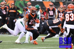 Bengals0047