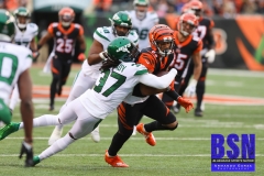 Bengals0049