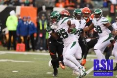 Bengals0050