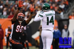 Bengals0051