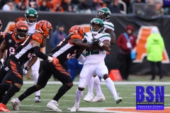 Bengals0053
