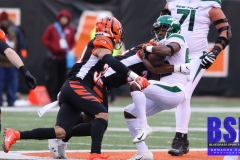 Bengals0054
