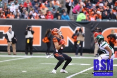 Bengals0055